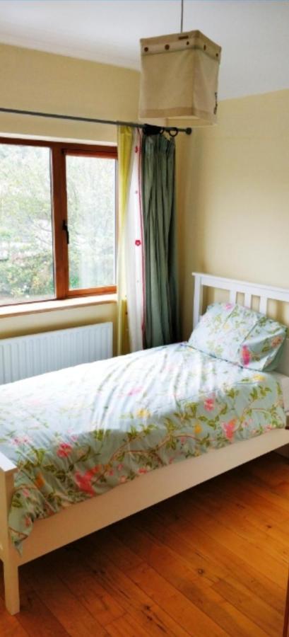 Luxury Skibbereen Town House Dış mekan fotoğraf